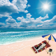 Tucker goes to the beach